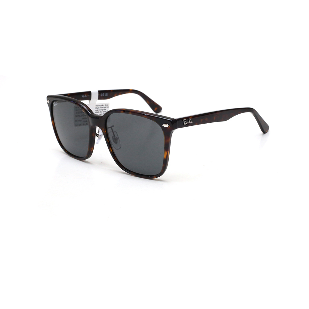 Kính mát RayBan RB2206D  710/87 